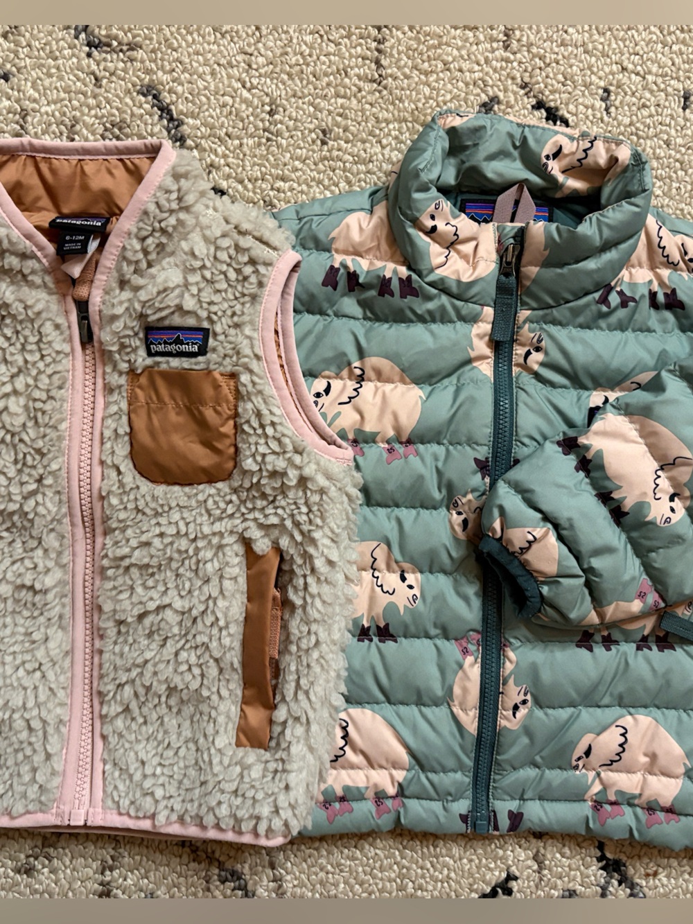 Patagonia kids bundle (2T) Rare Bison print